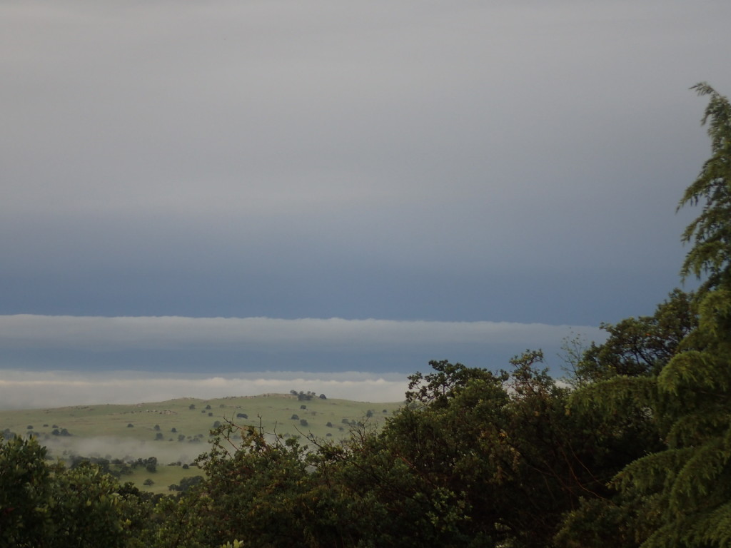 The layers of fog to the southwest caught my eye this morning