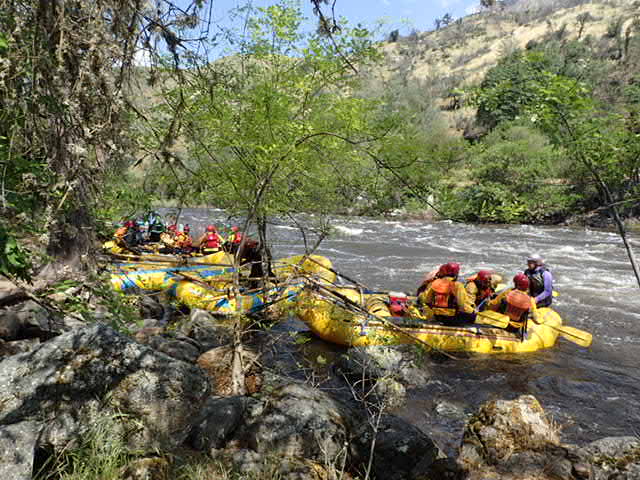 Another group launches before ours.